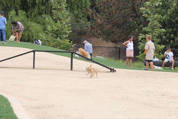 Walnut Park Off-Leash Area photo 1